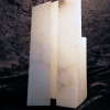 twin