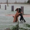 dzjalla en isis