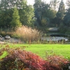 herfst